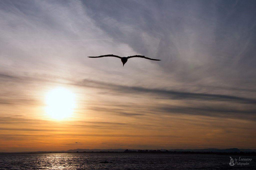 PASSAPORTO X LA LIBERTA