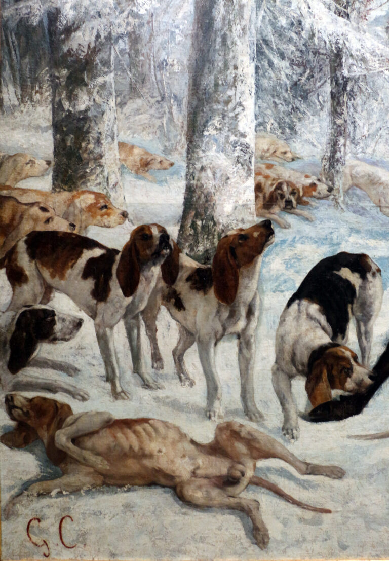 PASSAPORTO SANITARIO PER CANI