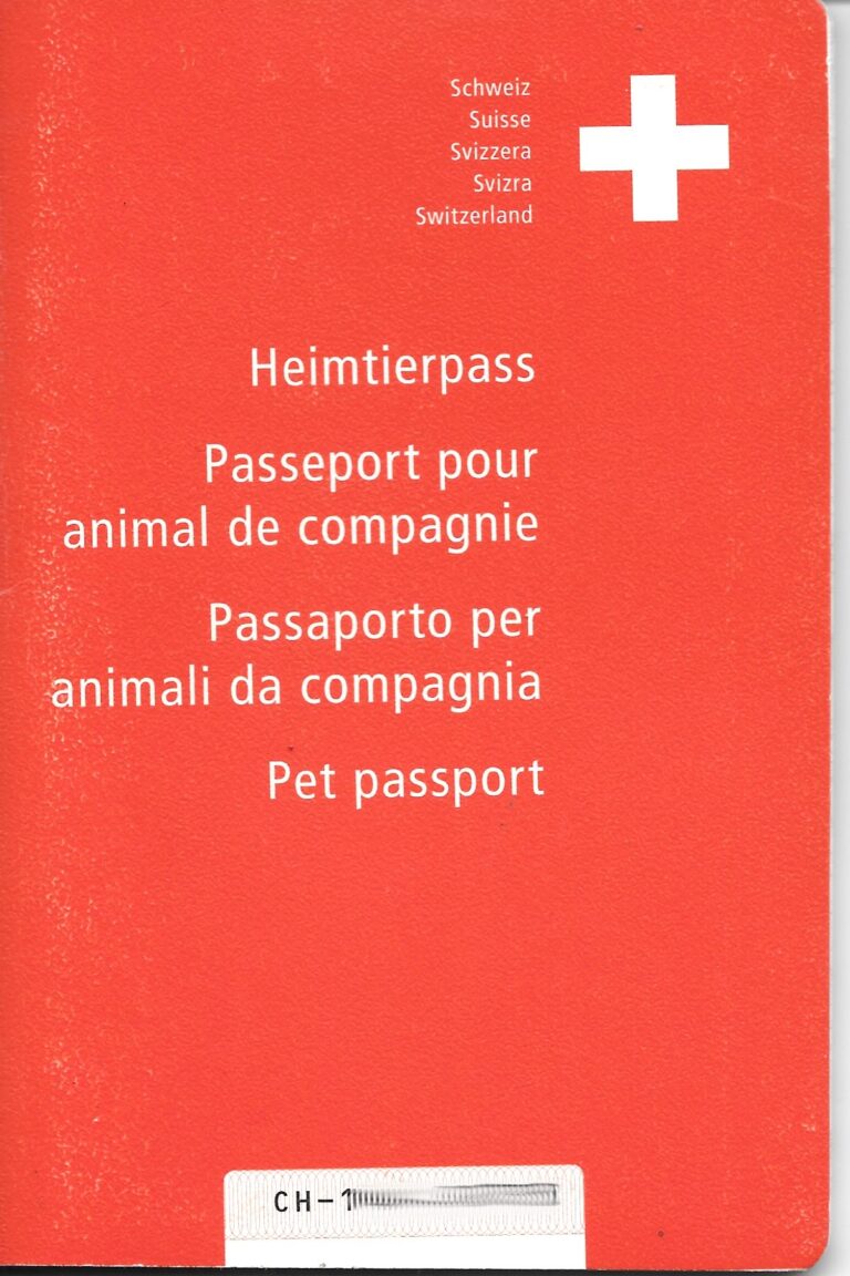 SCALO IN INGHILTERRA SERVE PASSAPORTO