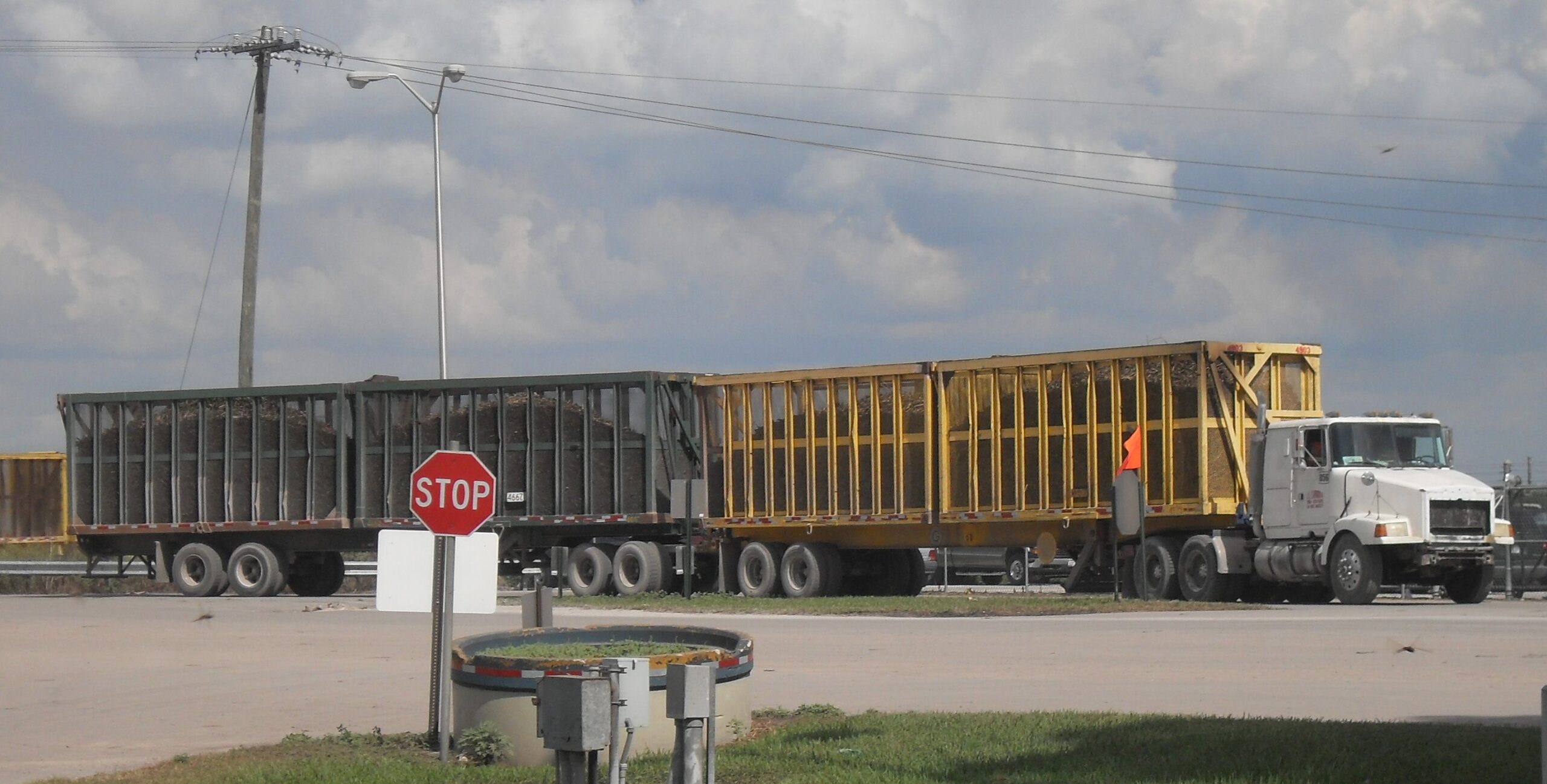 MULTA CANE SENZA PASSAPORTO SVIZZERA