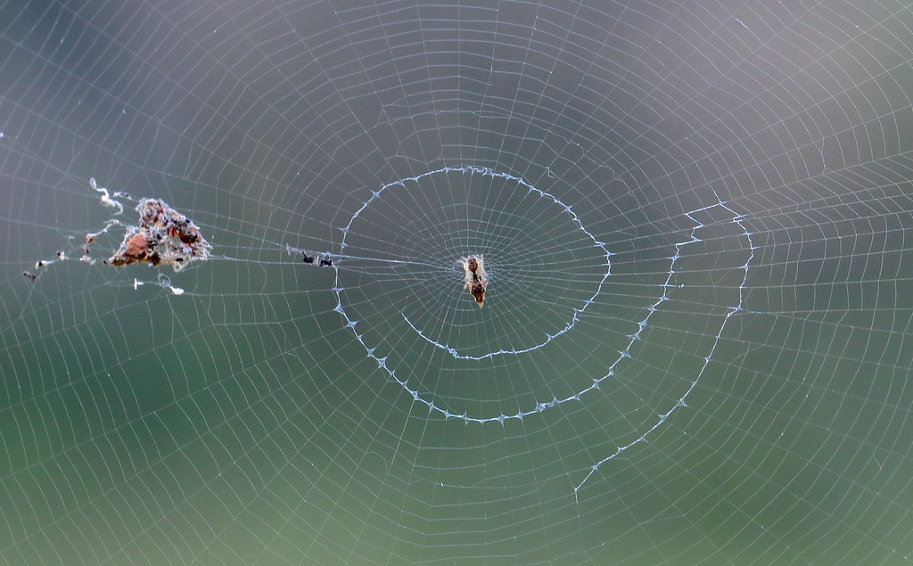 SPID POSTE ITALIANE CON PASSAPORTO