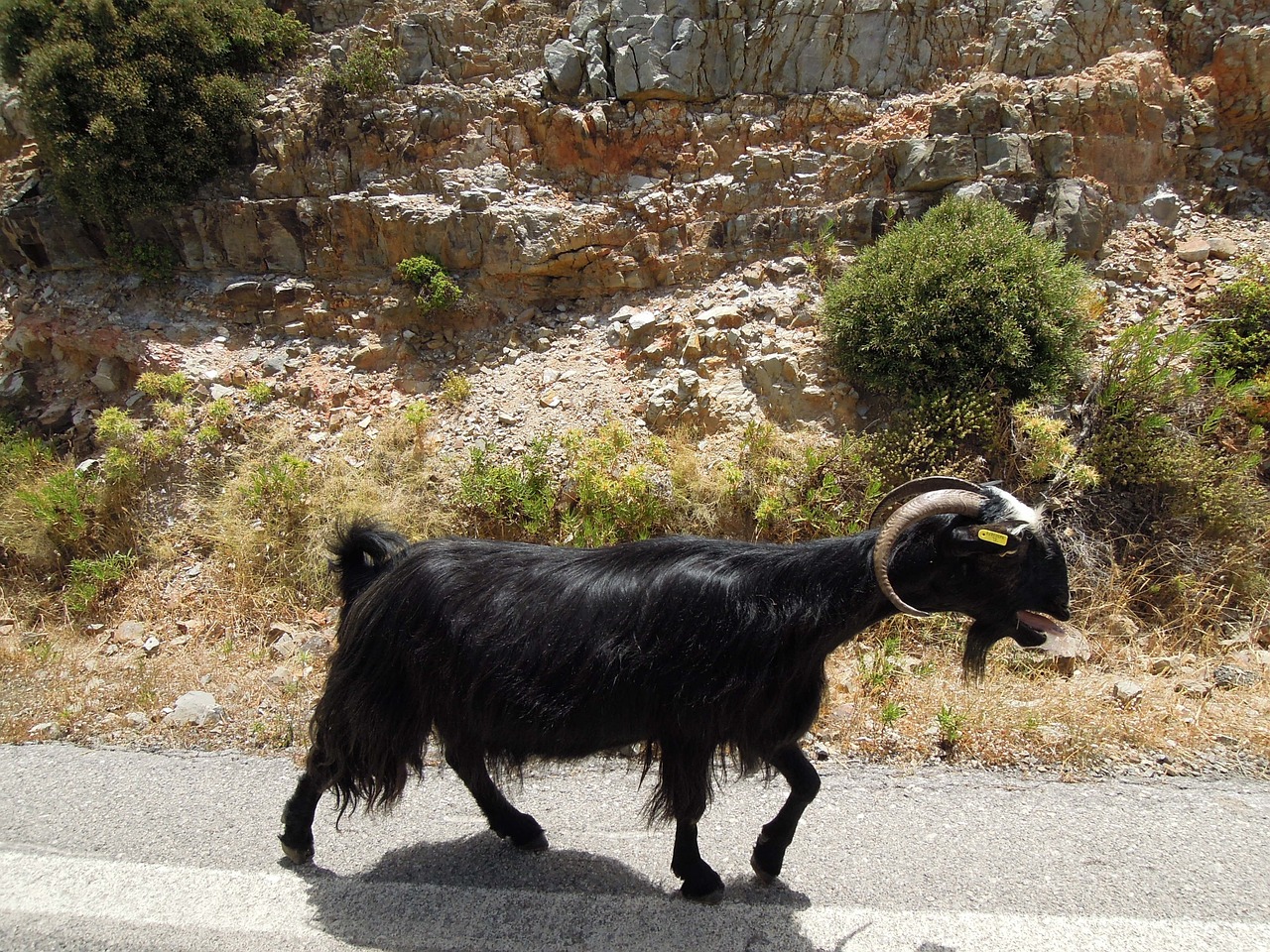 COME SI OTTIENE IL PASSAPORTO ITALIANO