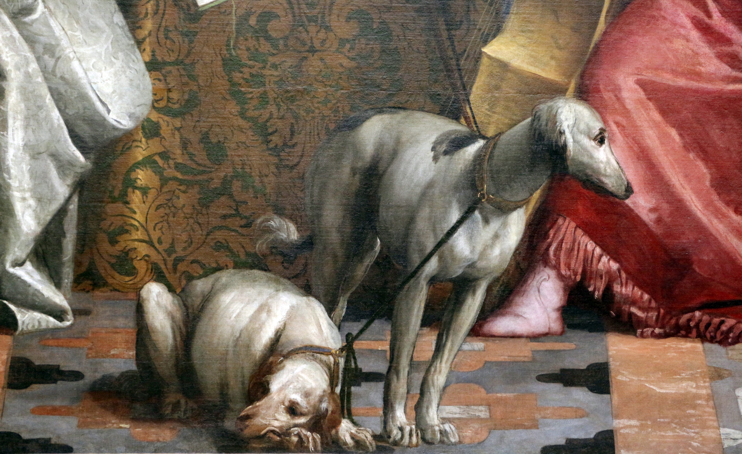 PASSAPORTO PER CANI QUANDO SERVE