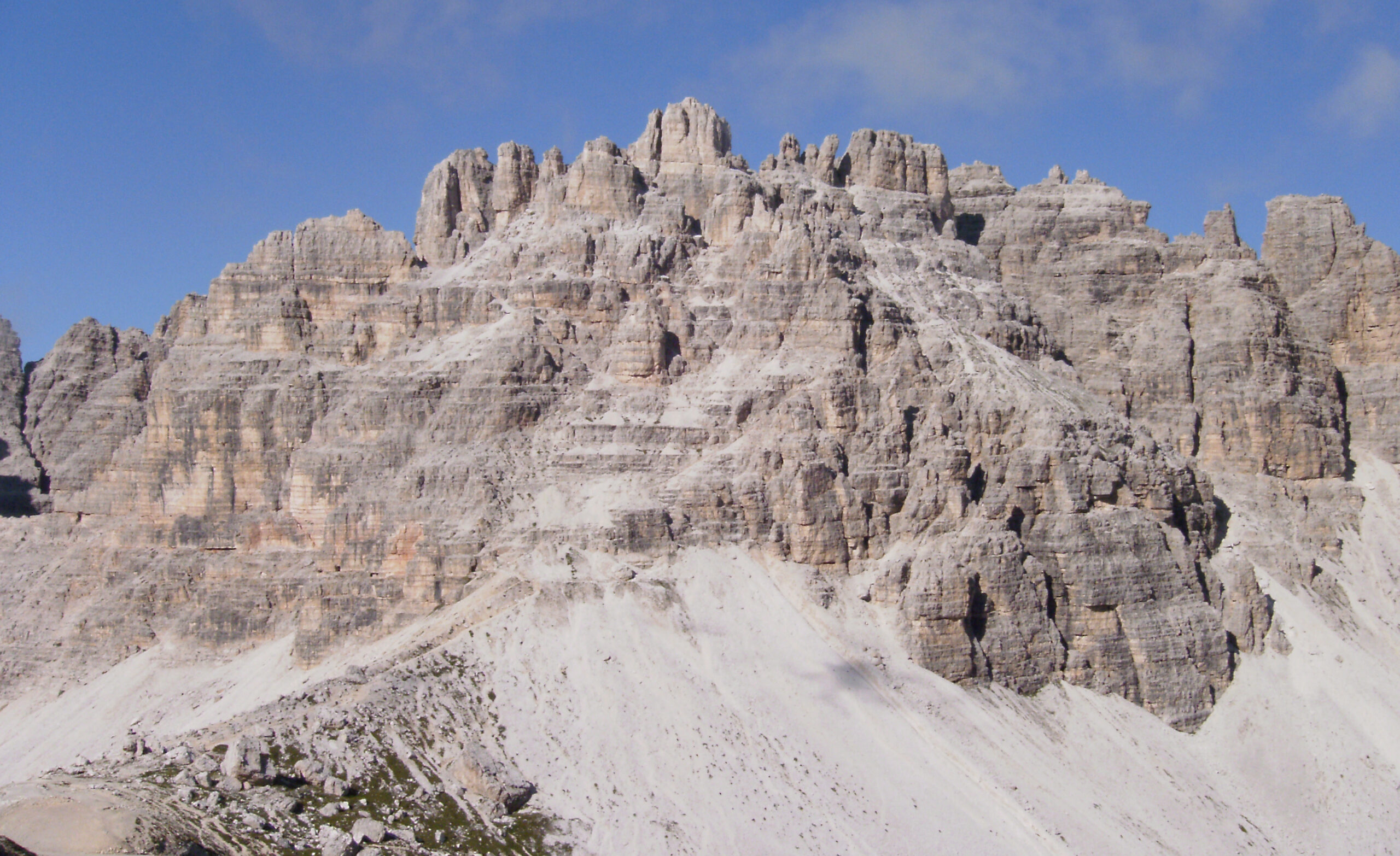 PASSAPORTO AMERICANO FAC SIMILE